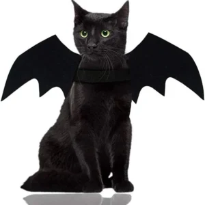 Wholesale Cute Cat Cosplay Costume Black Bat Wings Safety Belt Role Playing Pet Cat Dog Halloween Party Decoration Supplies